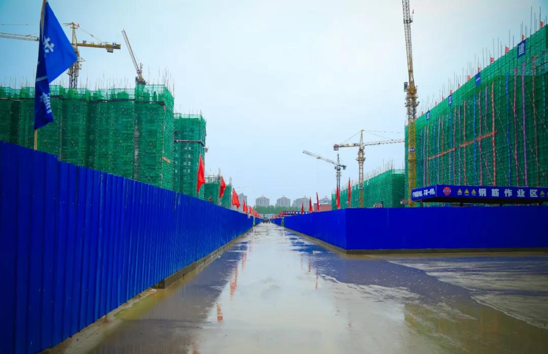 1590385712214169.jpg 10.jpg