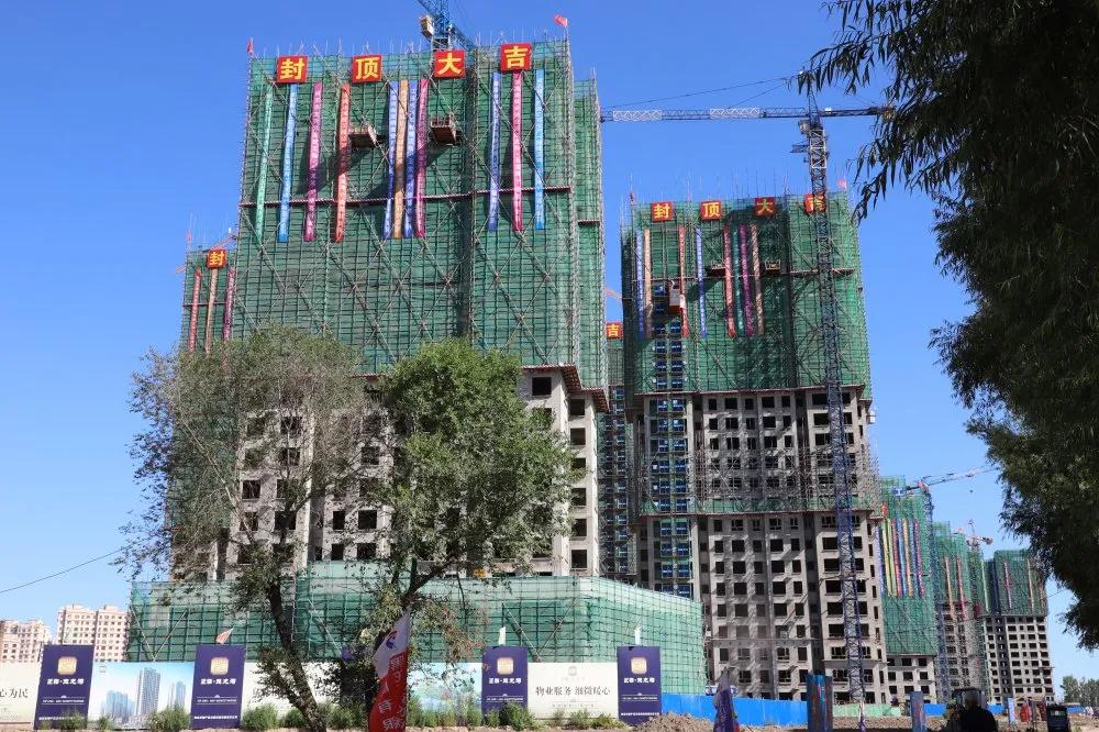 1598581056450887.jpg 44.jpg