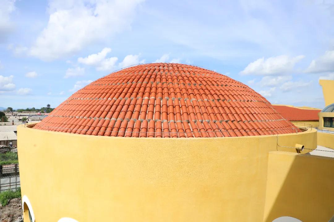 1605079708619786.jpg 24.jpg