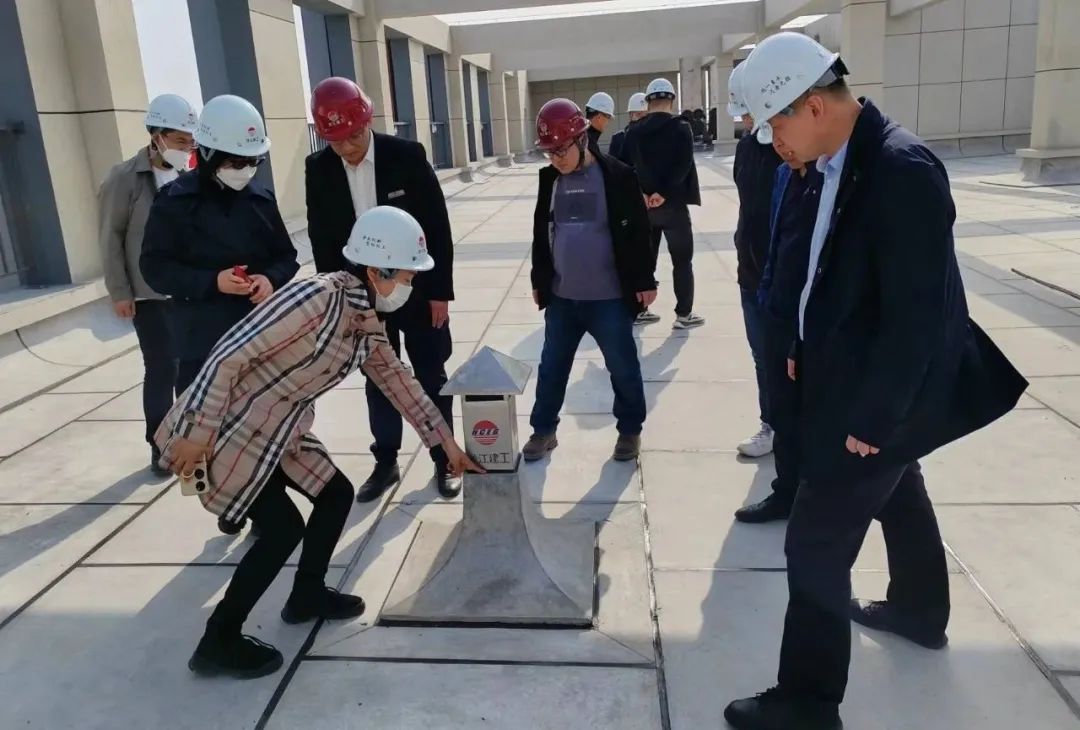 1685343541122485.jpg 4.jpg